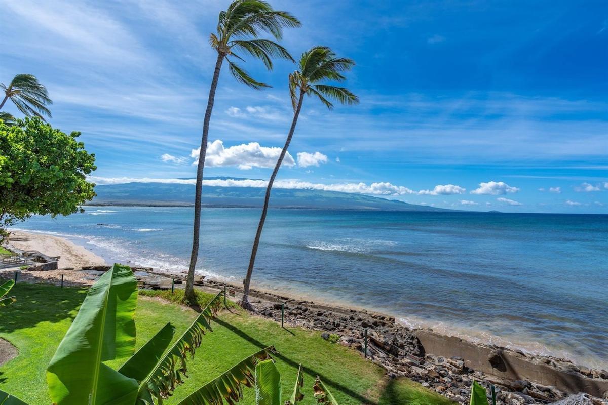 Direct Oceanfront—Fully Remodeled—Sleeps 6 Wailuku Exterior foto